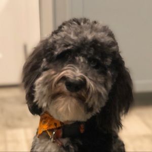 Meet your Posher, Bryan